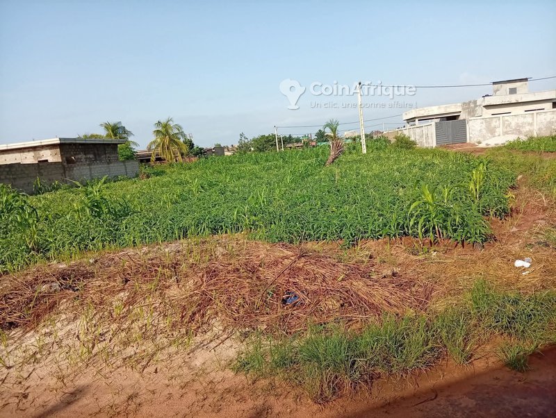 Terrain viabilisé de 335 m² avec titre foncier et plan de morcellement – Idéal pour projet immobilier