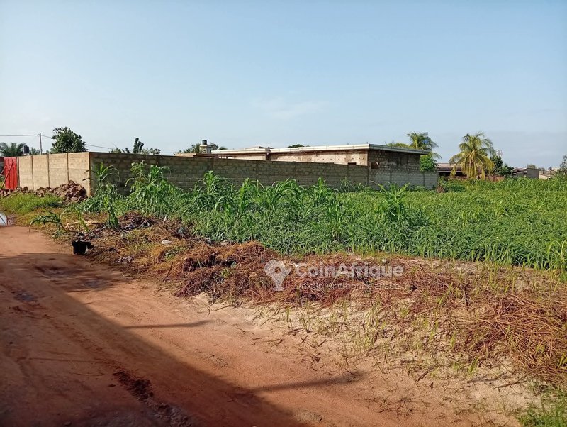 Terrain viabilisé de 335 m² avec titre foncier et plan de morcellement – Idéal pour projet immobilier