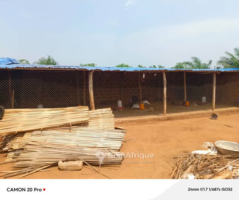 Ferme en activité clé en main avec 3 studios, enclos et escargotière sur 1000m²