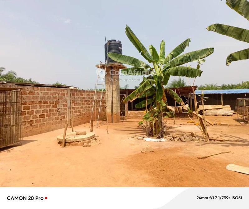 Ferme en activité clé en main avec 3 studios, enclos et escargotière sur 1000m²