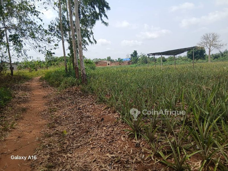 Terrain spacieux de 500 m² dans un emplacement stratégique