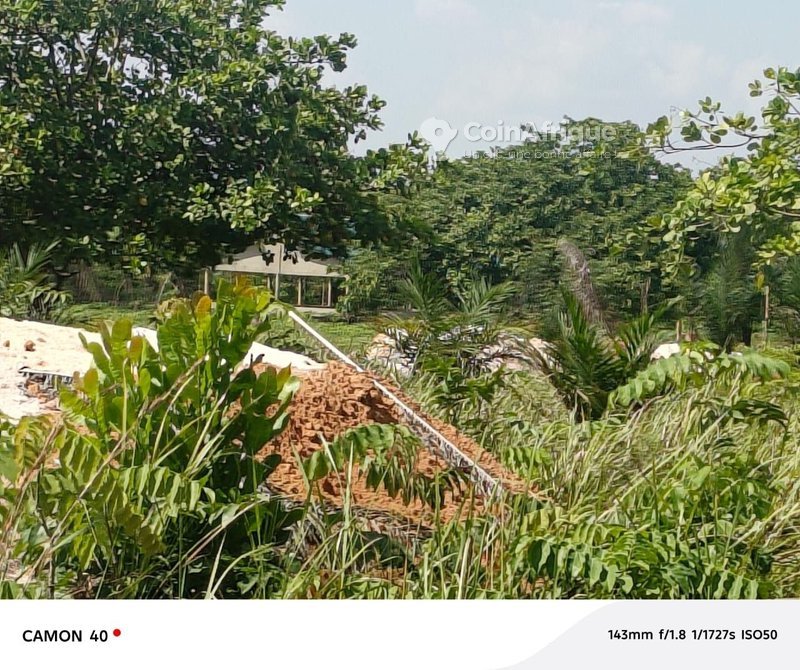 Terrain de 10 hectares avec titre foncier personnel - Opportunité exceptionnelle
