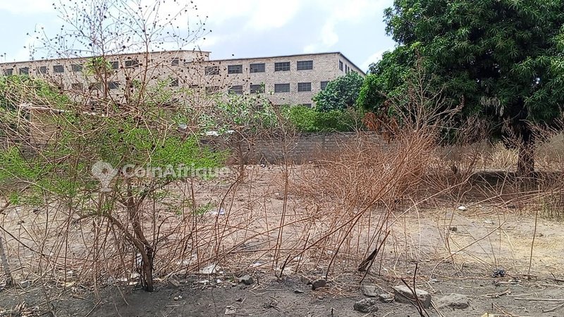 Terrain de 10 hectares avec titre foncier personnel - Opportunité exceptionnelle