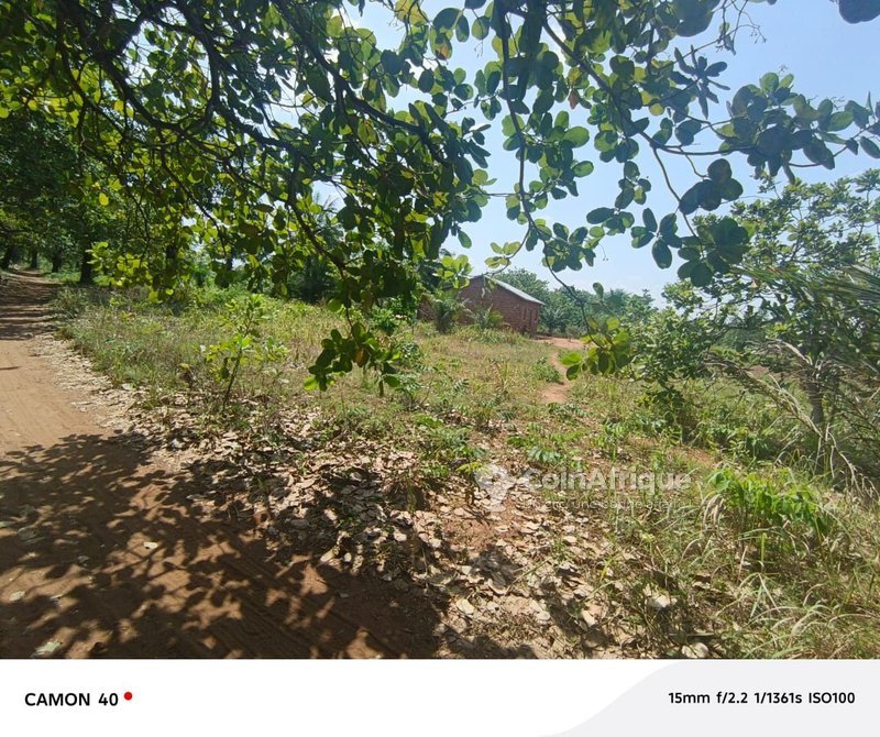 Terrain de 10 hectares avec titre foncier personnel - Opportunité exceptionnelle