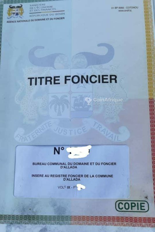Terrain spacieux de 8290 m² électrifié avec titre foncier disponible