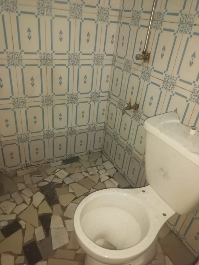 Maison meublée avec terrasse et sanitaires modernes - 1 pièce
