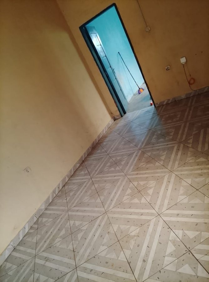 Appartement meublé 1 pièce avec terrasse spacieuse et arrière-cour