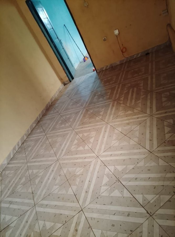 Appartement meublé 1 pièce avec terrasse spacieuse et arrière-cour