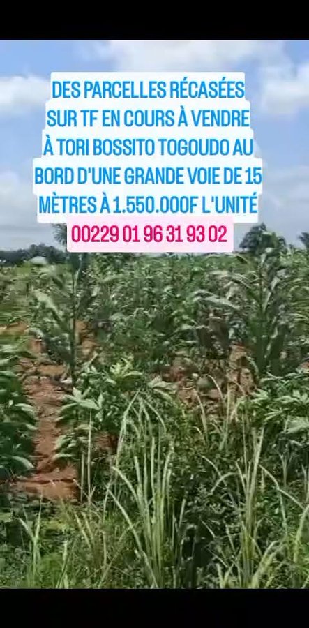 Terrain constructible de 350m² avec titre foncier en cours et voies aménagées