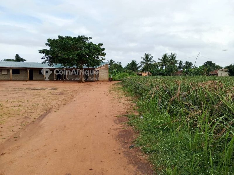Terrain viabilisé de 350 m² avec titre foncier sécurisé