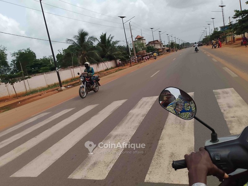 Terrain de 1 hectare avec titre foncier global et accès facile toute l'année