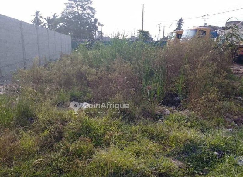 Terrain constructible de 489 m² avec documents administratifs complets