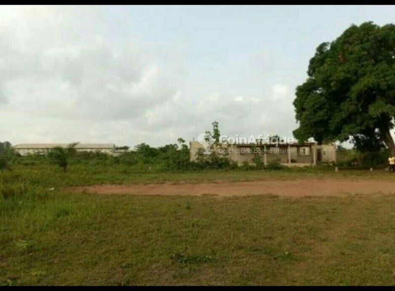 Terrain de 5 hectares avec accès immédiat au goudron et zone habitable