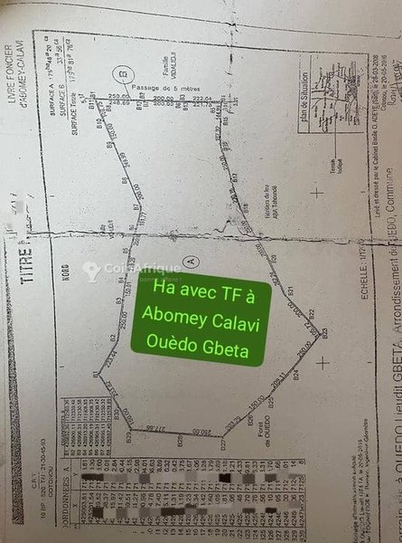 Terrain exceptionnel de 50 hectares avec voies de 10 mètres et opportunités uniques