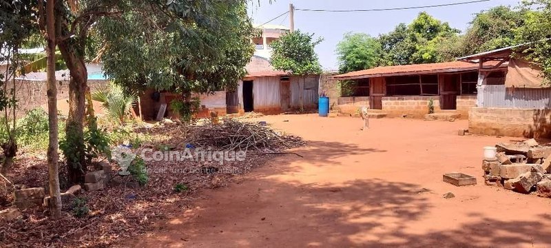 Terrain exceptionnel de 50 hectares avec voies de 10 mètres et opportunités uniques