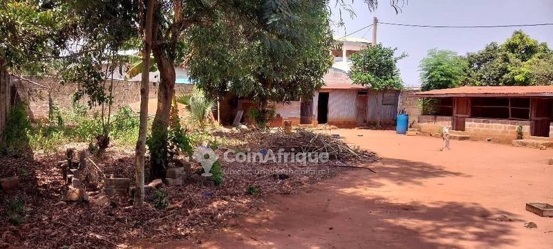 Terrain exceptionnel de 50 hectares avec voies de 10 mètres et opportunités uniques