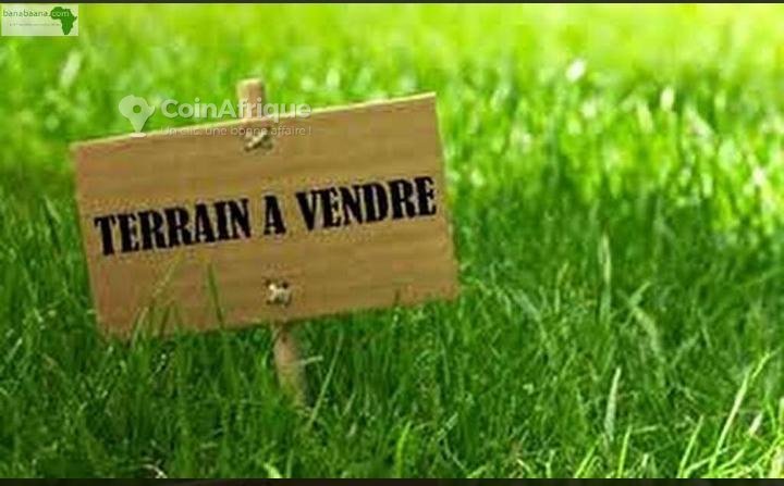 Terrain agricole de 5 hectares – Opportunité d'investissement exceptionnelle
