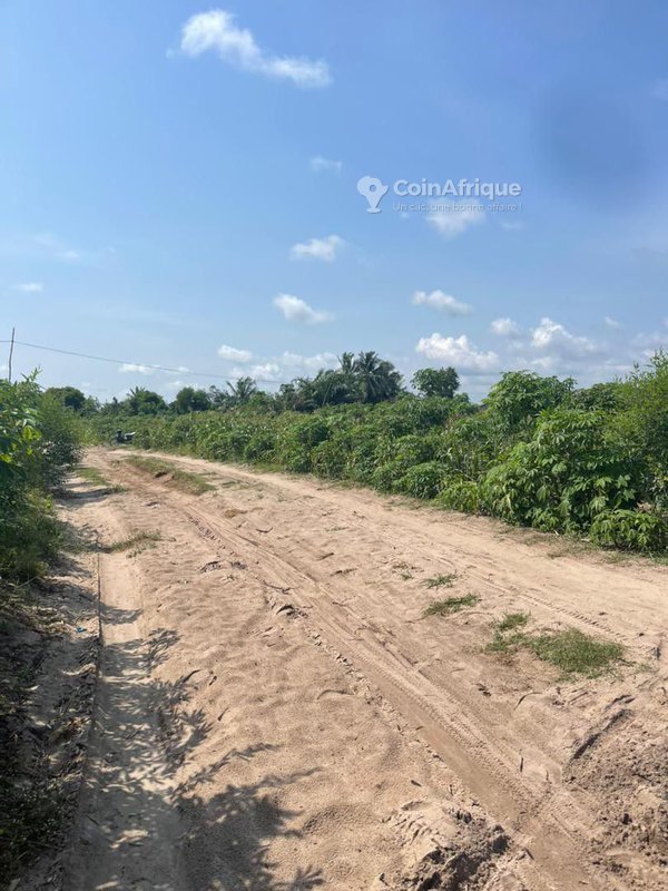 Terrain viabilisé de 500 m² prêt à bâtir avec eau et électricité