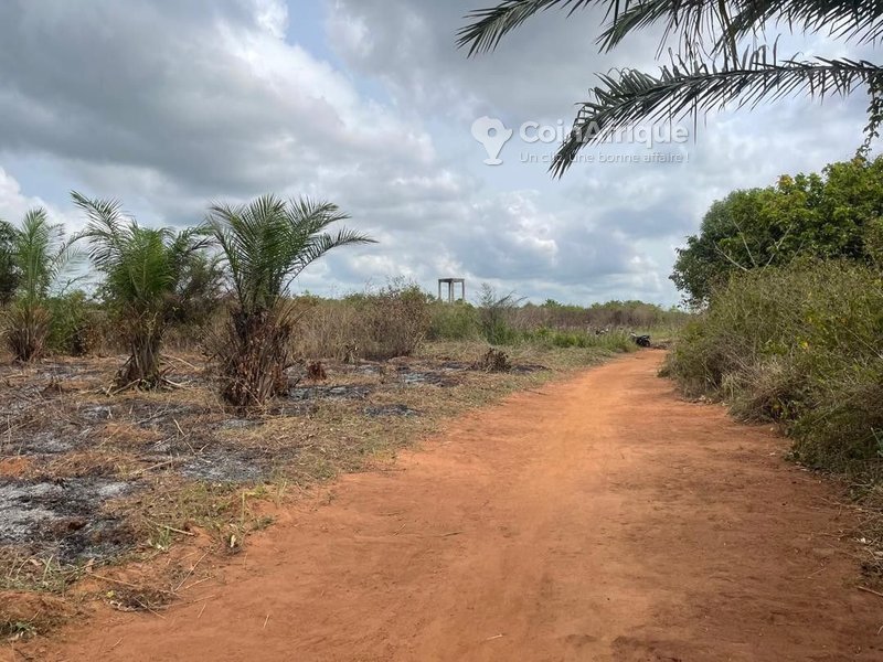 Terrain constructible idéalement situé avec opportunité d'investissement à proximité des commodités