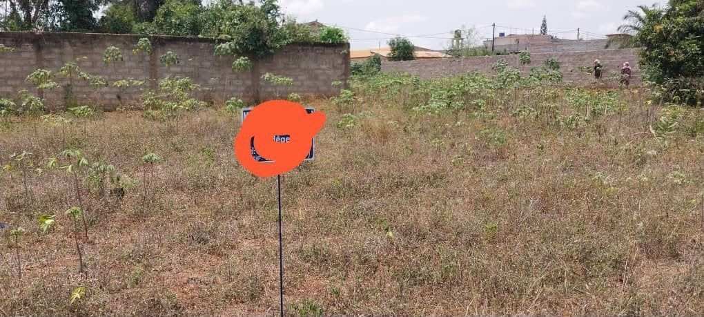 Terrain constructible de 537 m² avec documents complets et domaine clôturé