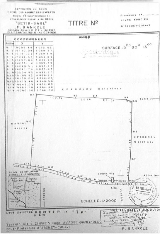 Terrain de 5 hectares avec titre foncier personnel - Opportunité exceptionnelle