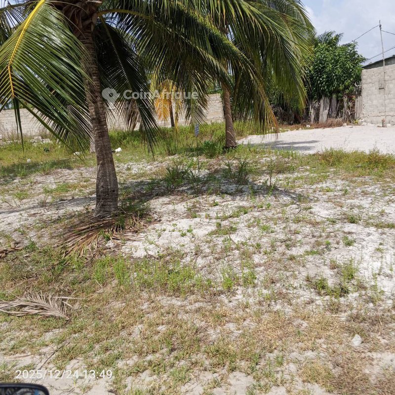 Terrain à vendre avec titre foncier et voies aménagées en zone en plein essor