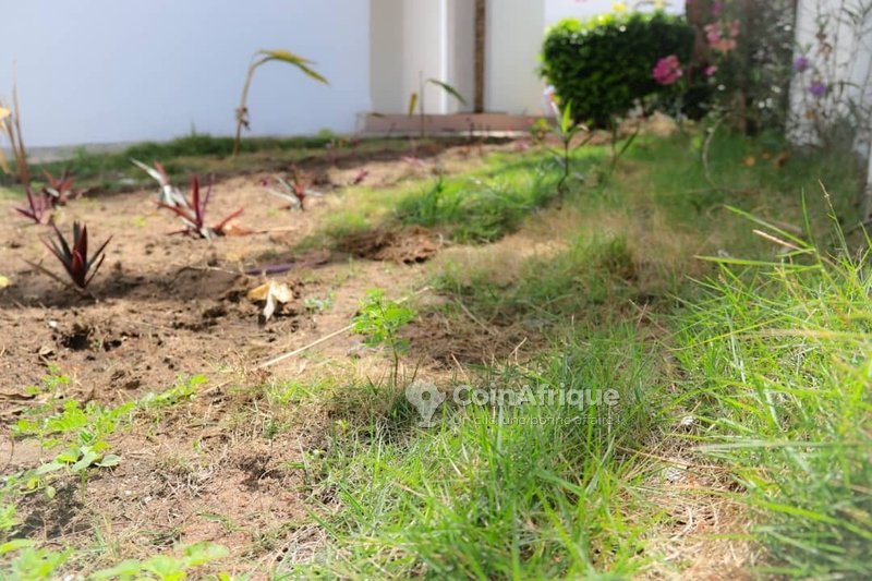 Terrain exceptionnel de 1100m² avec titres fonciers personnels et revenus mensuels attractifs