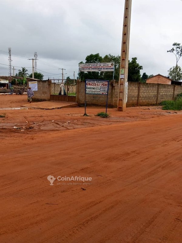 Terrain viabilisé et électrifié avec titre foncier sécurisé - 350 m²