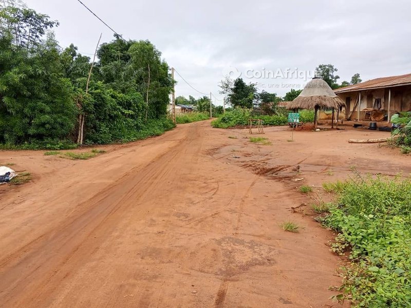 Terrain viabilisé et électrifié avec titre foncier sécurisé - 350 m²