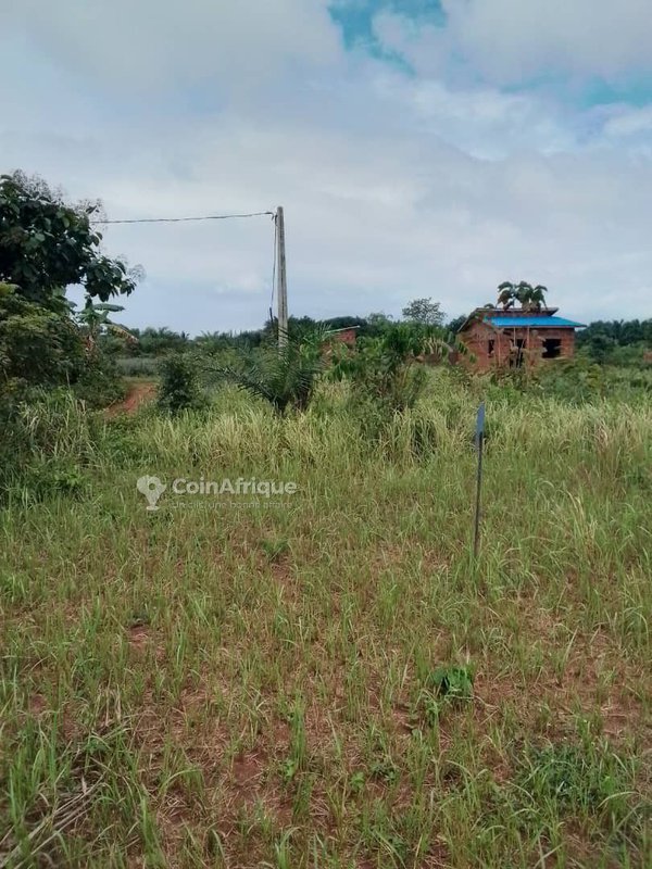 Terrain constructible de 500 m² avec documents légaux complets