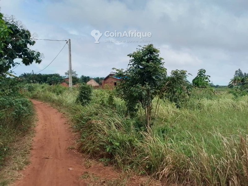 Terrain constructible de 500 m² avec documents légaux complets