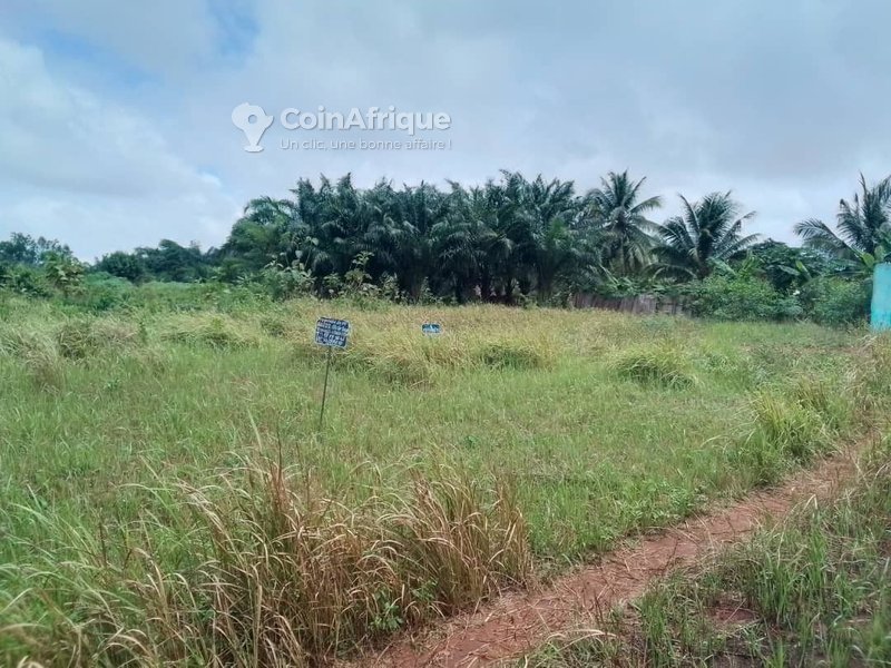 Terrain constructible de 500 m² avec documents légaux complets