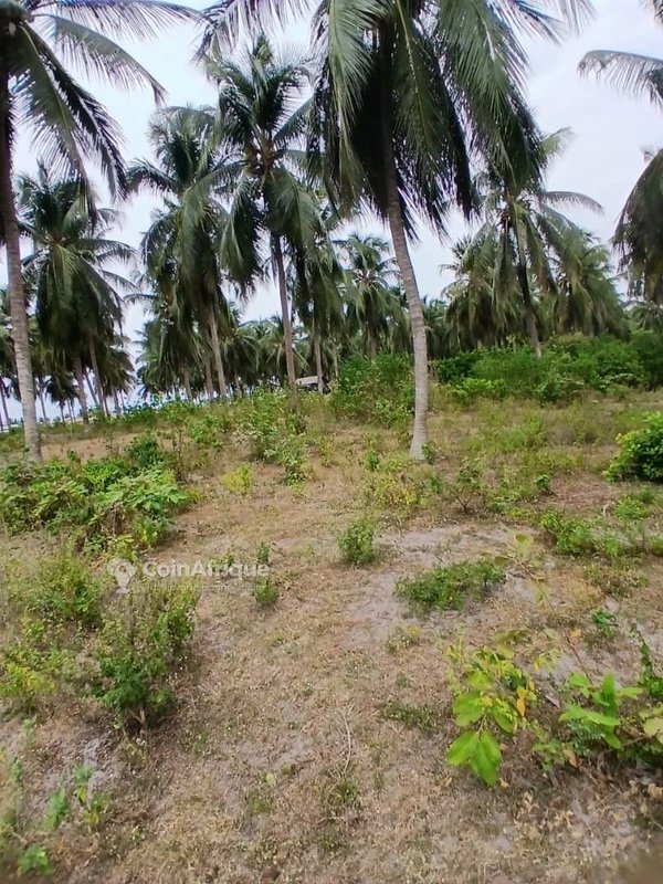 Terrain viabilisé de 3700 m² avec emplacement stratégique près de la route des pêches