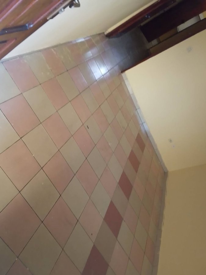 Appartement cosy d'une pièce avec sanitaires dallés et accès véhicules