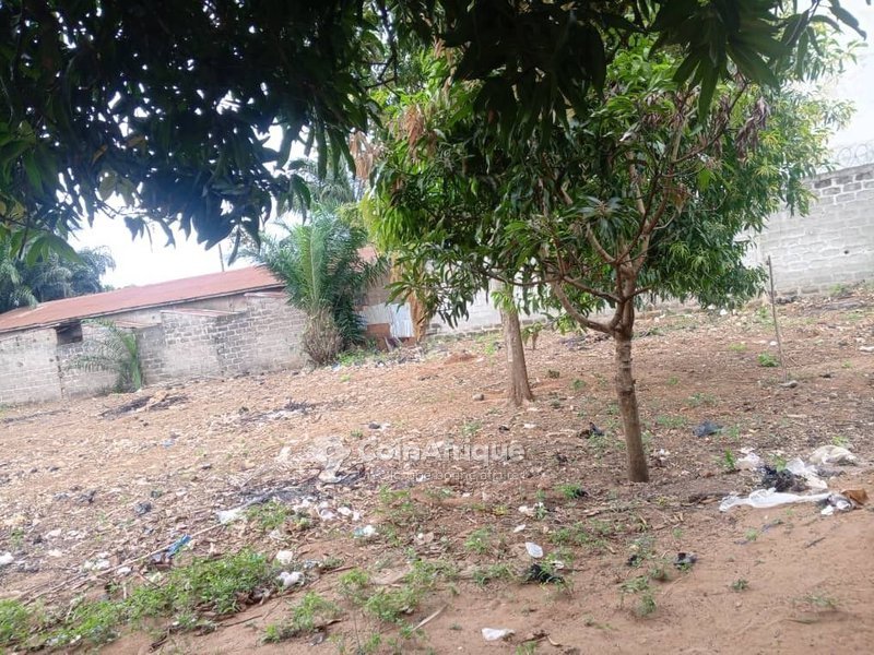 Terrain constructible de 433 m² en zone sécurisée et en plein développement