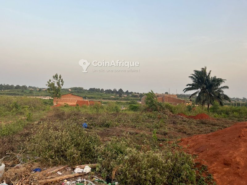 Terrain constructible de 500 m² avec accès à l'électricité