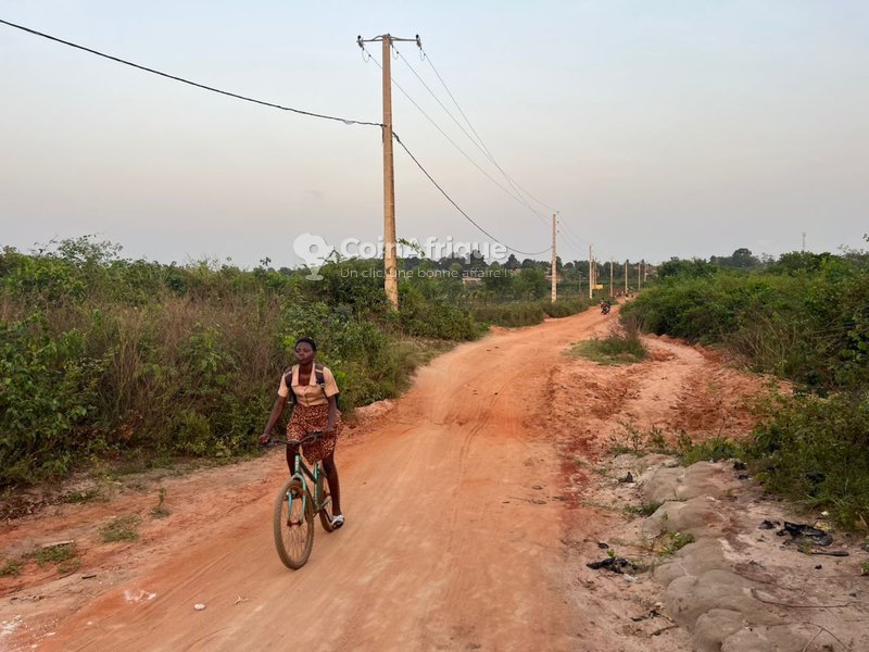Terrain constructible de 500 m² avec accès à l'électricité