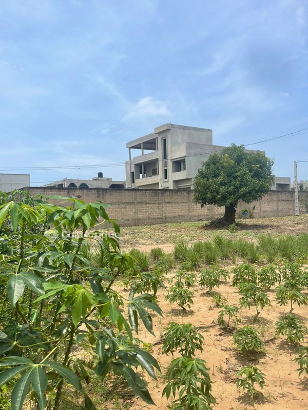 Terrain sécurisé de 330 m² en zone résidentielle avec attestation de récasement en cours
