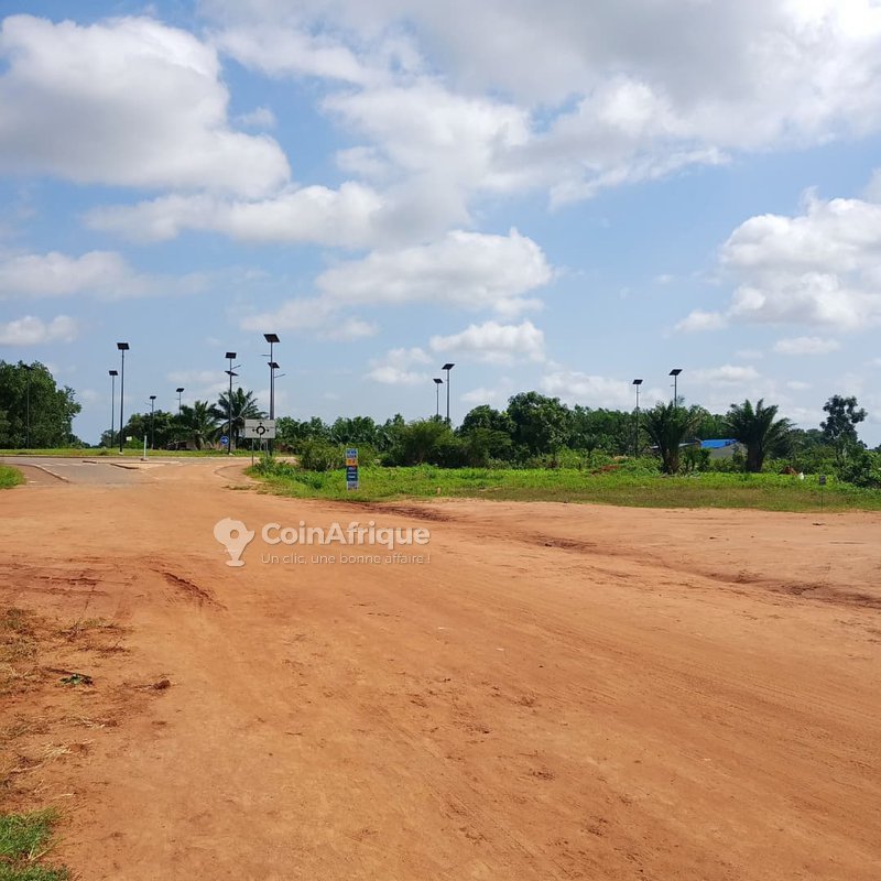 Terrain exceptionnel de 21 000 m² avec titre foncier sécurisé et fort potentiel d'investissement