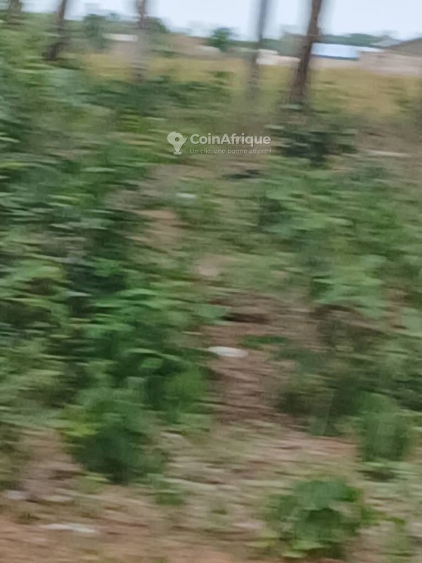 Terrain constructible de 400 m² sur terre ferme avec opportunité d'investissement exceptionnelle