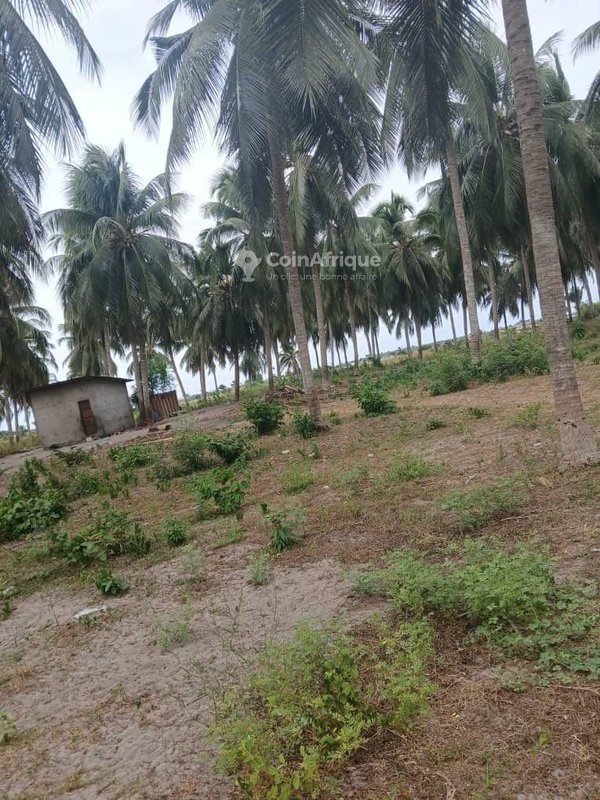 Terrain constructible de 400 m² sur terre ferme avec opportunité d'investissement exceptionnelle