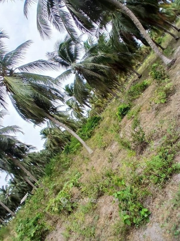 Terrain constructible de 400 m² sur terre ferme avec opportunité d'investissement exceptionnelle