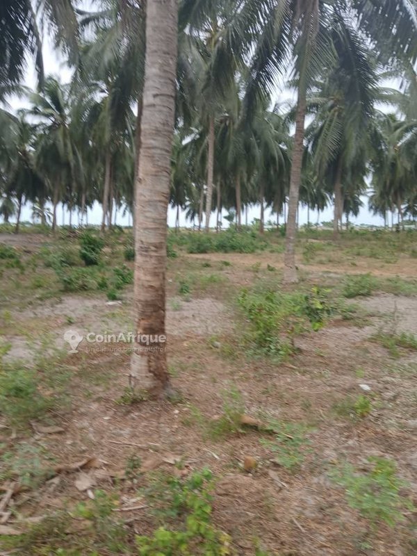 Terrain constructible de 400 m² sur terre ferme avec opportunité d'investissement exceptionnelle