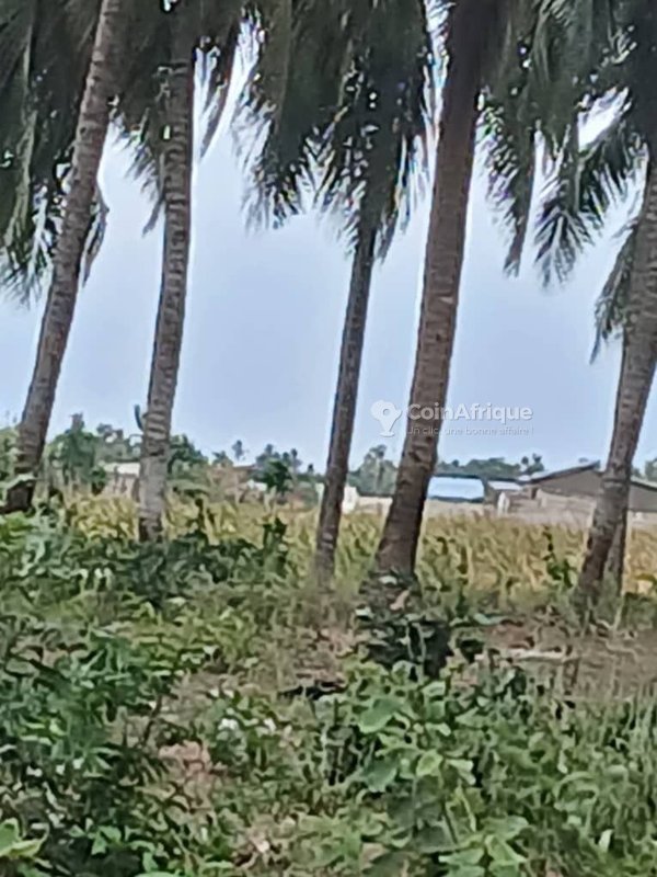 Terrain constructible de 400 m² sur terre ferme avec opportunité d'investissement exceptionnelle