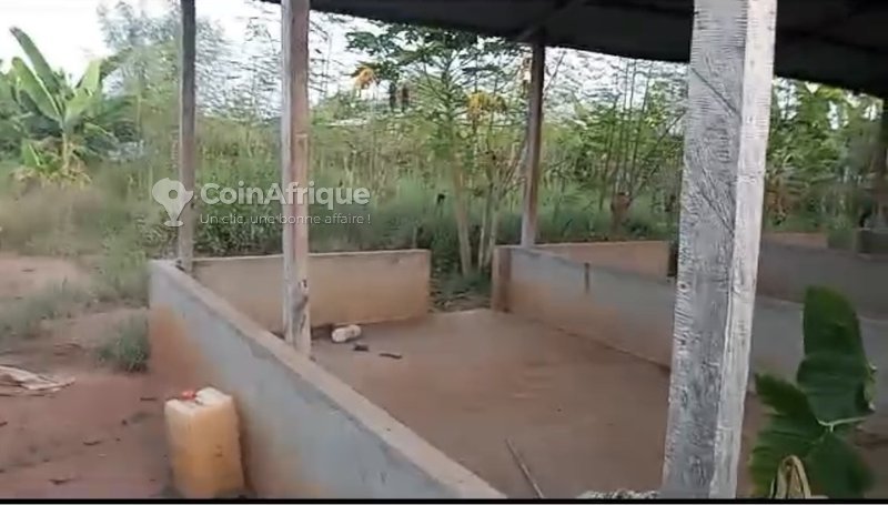 Ferme fonctionnelle avec grand espace exploitable et infrastructures d'élevage