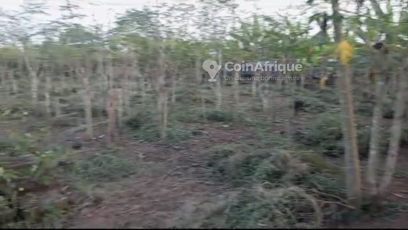 Ferme fonctionnelle avec grand espace exploitable et infrastructures d'élevage