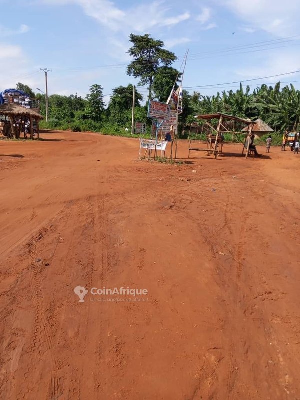 Terrain viabilisé et électrifié avec titre foncier sécurisé - 350 m²
