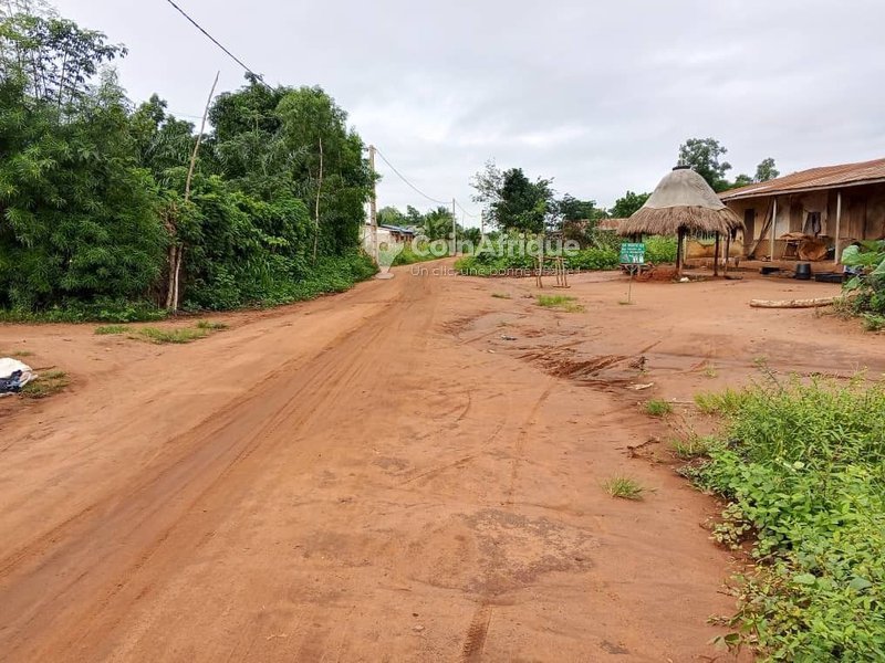 Terrain viabilisé et électrifié avec titre foncier sécurisé - 350 m²