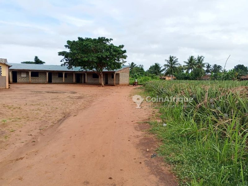 Terrain viabilisé et électrifié avec titre foncier sécurisé - 350 m²