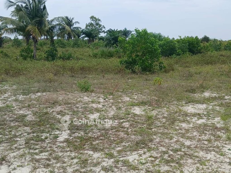 2 parcelles à vendre